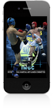 iPhone Responsive